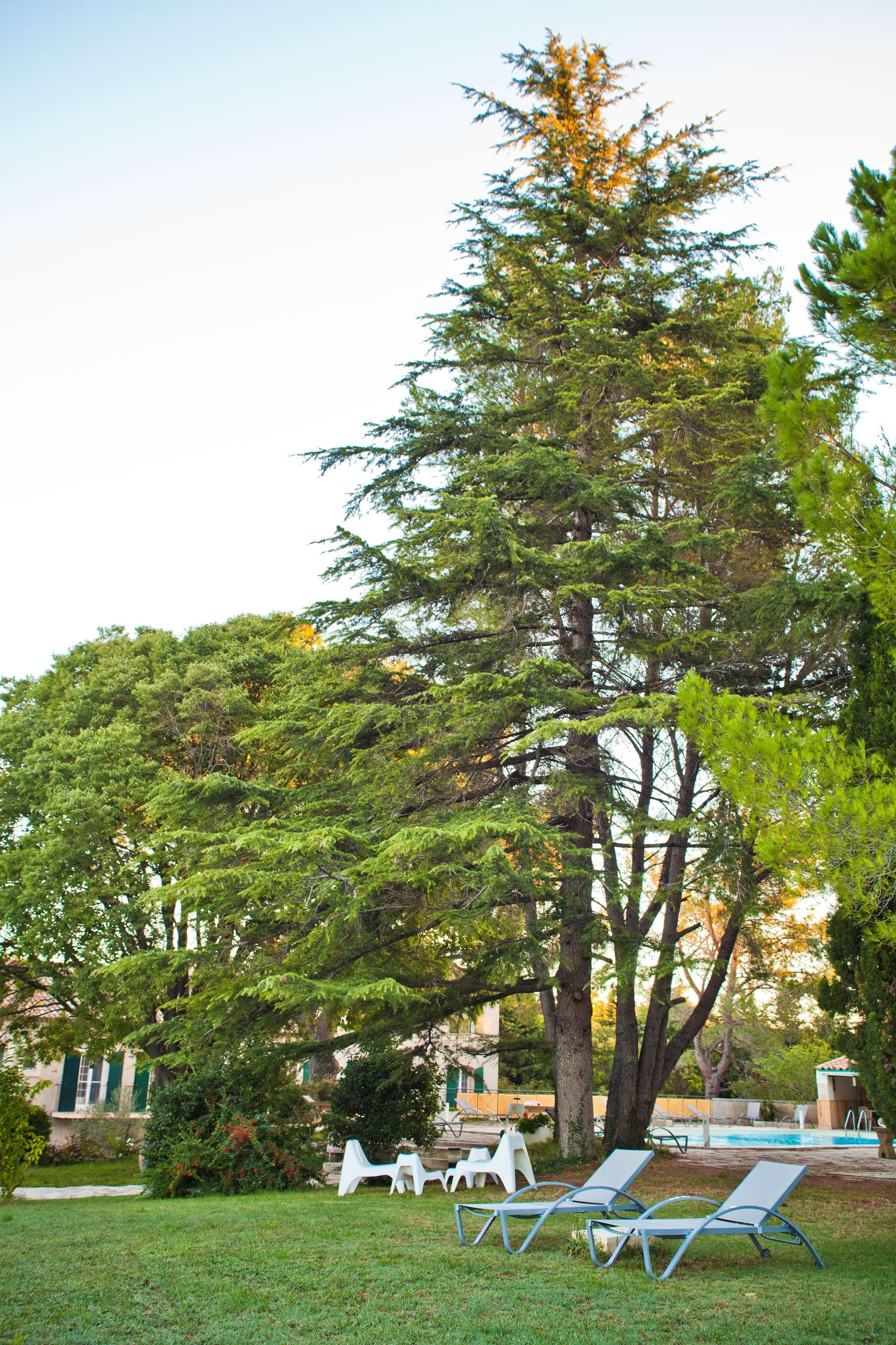 Best Western Le Val Majour Fontvieille Εξωτερικό φωτογραφία